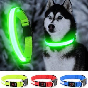 Collar de perro con luces LED, collar de perro con luces LED